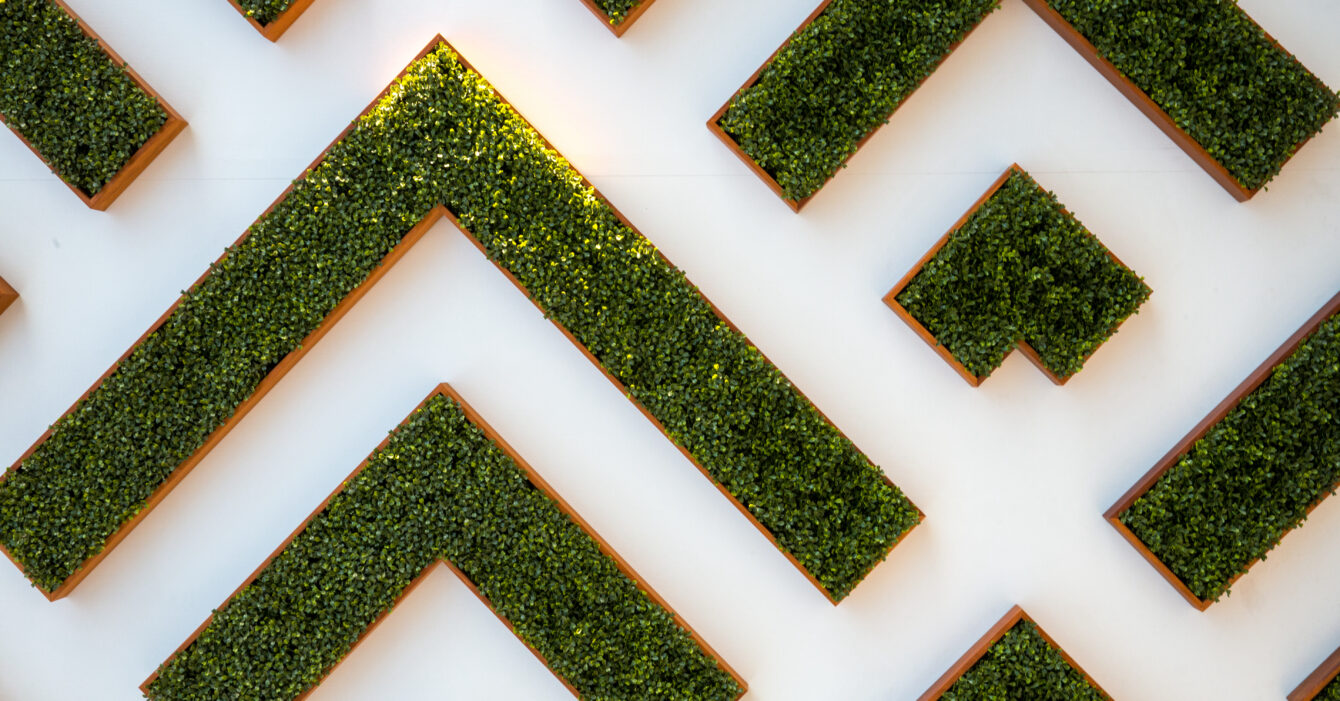 bird's eye view of maze garden